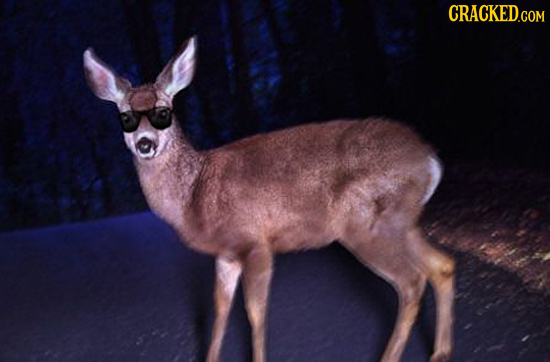 The 21 Biggest Flaws Nature Should Have Fixed By Now