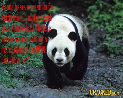 Dapla bears OTO sard to be berbanres.. AnLR cach ged bunsreels f Chise geDplt anh unooot a jrace Whaiis the WWE D telli ict CRACKEDO COM