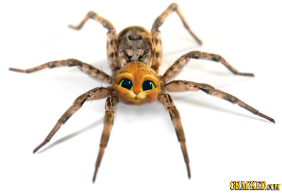 The 21 Biggest Flaws Nature Should Have Fixed By Now