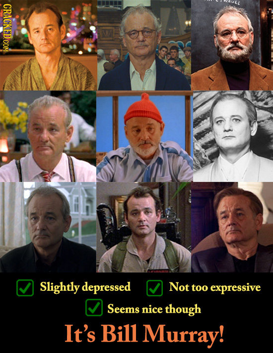 CRACKED COM Slightly depressed Not too expressive Seems nice though It's Bill Murray!