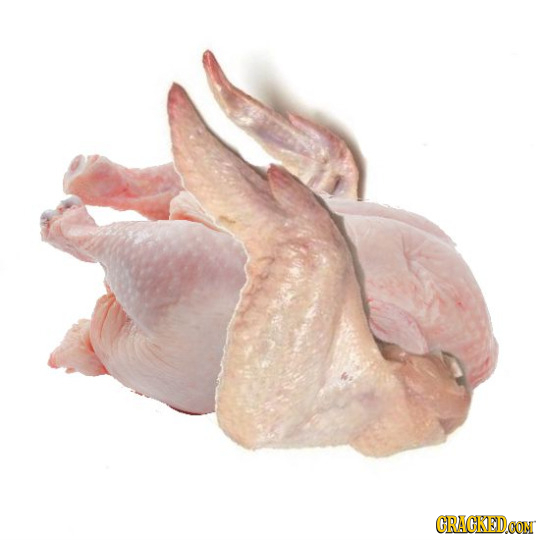 The 21 Biggest Flaws Nature Should Have Fixed By Now