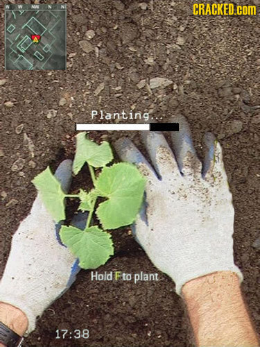 CRACKED.cOM Planting... Hold Fto plant 17:38