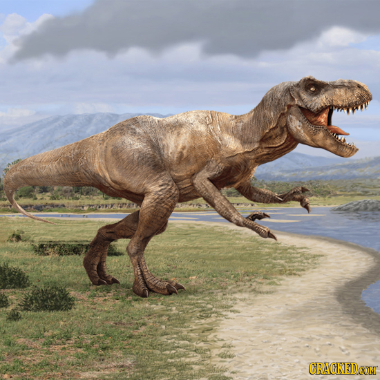 The 21 Biggest Flaws Nature Should Have Fixed By Now