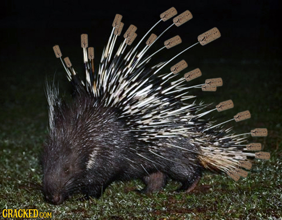 The 21 Biggest Flaws Nature Should Have Fixed By Now