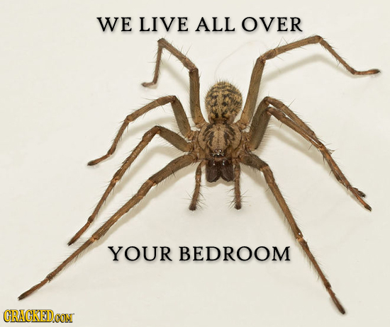 WE LIVE ALL OVER YOUR BEDROOM CRACKEDCON 