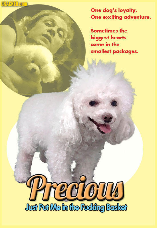 CRACKED COM One dog's loyalty. One exciting adventure. Sometimes the biggest hearts come in the smallest packages. Precious Just Put Me in the Fuding