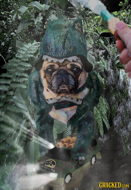 re6 ASSICAG CRACKED cO