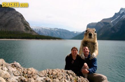 23 Small Changes That Make Adorable Things Terrifying