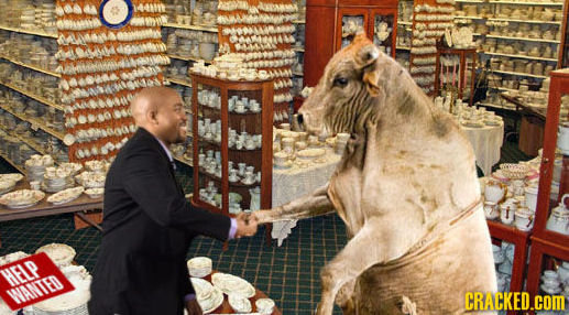 HELP WANTED CRACKED.cOM