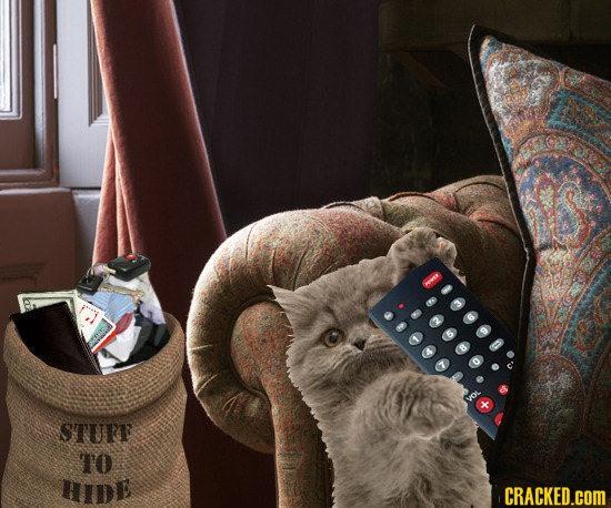 STURF TO hiDE CRACKED.COM