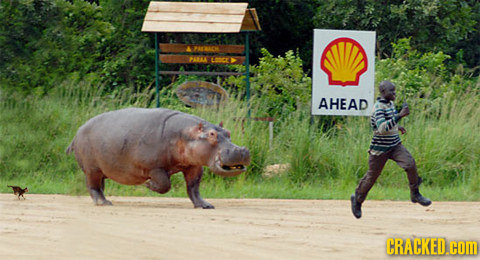 0 271 AHEAD CRACKED.COM