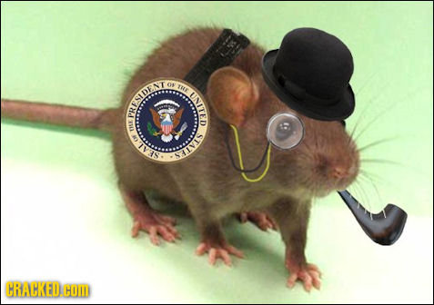 O THE UNITED HSIDENT PR 5X STATES E SEAL CRACKEDC COM