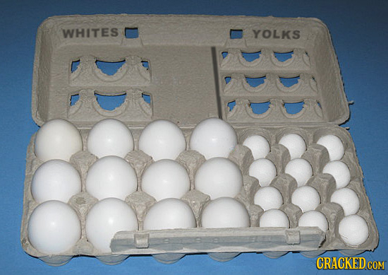 WHITES YOLKS CRACKED COM