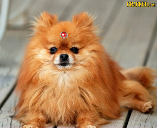 The 21 Biggest Flaws Nature Should Have Fixed By Now