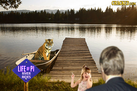 CRACKED CONT LIFE OF PI RIVER RIDES