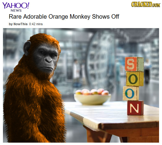 YAHOO! CRACKEDCON NEWS Rare Adorable Orange Monkey Shows Off by NowThis 0:42 mins S O O N