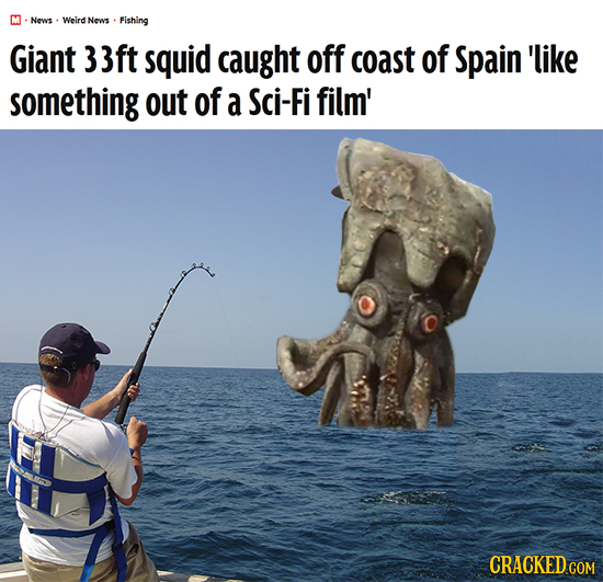 News Weird News Fishing Giant 33ft squid caught off coast of Spain 'like something out of a Sci-Fi film' CRACKED COM