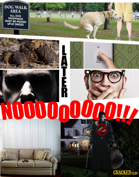 DOG WALK AREA ALL DOG DROPPINGS MUST BE PICKED UP AT ONCE E NOOOOoOOO 2 CRACKEDGOM
