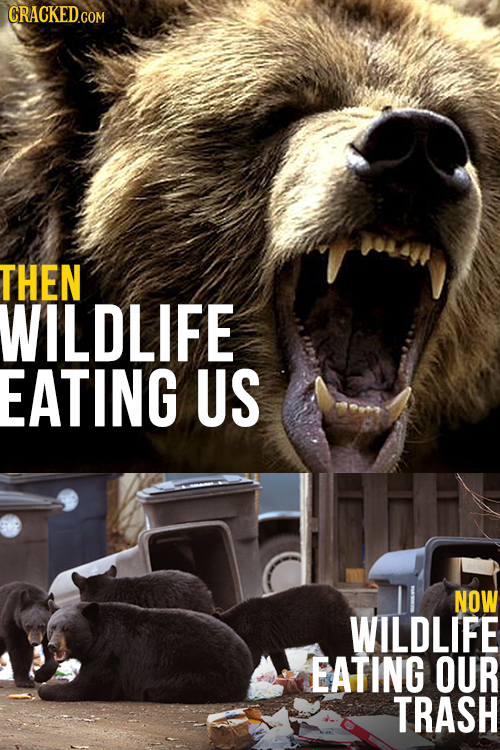 THEN WILDLIFE EATING US NOW WILDLIFE EATING OUR TRASH
