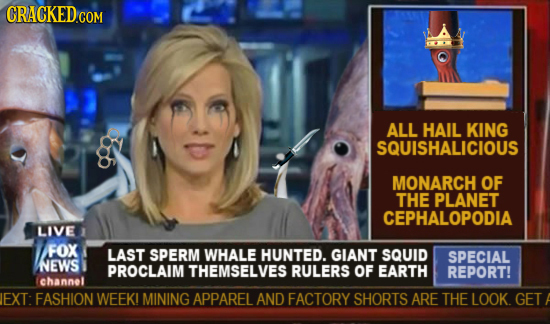 CRACKED COM ALL HAIL KING SQUISHALICIOUS MONARCH OF THE PLANET CEPHALOPODIA LIVE FOX LAST SPERM WHALE HUNTED. GIANT SQUID SPECIAL NEWS PROCLAIM THEMSE