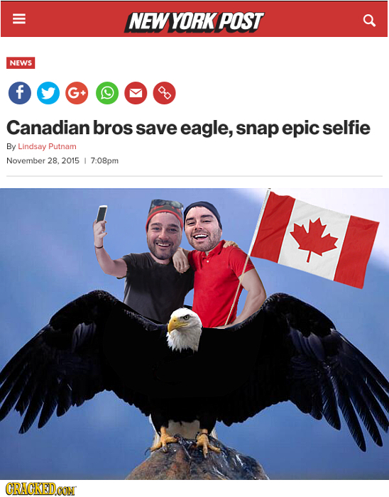 NEW YORK POST NEWS f Do Canadian bros save eagle, snap epic selfie By Lindsay Putnam November 28, 2015 I 7:08pm CRACKEDCON 