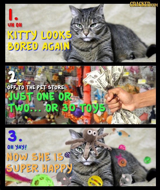 GRAGKED I. UH OH KITTY LOOKS BORED AGAIN 2. OFF TO THE PET STORE JUST ONE OR Tw... OR 30 TOYS 3. OH yAY! NOW SHE IS SUPER HAPPY