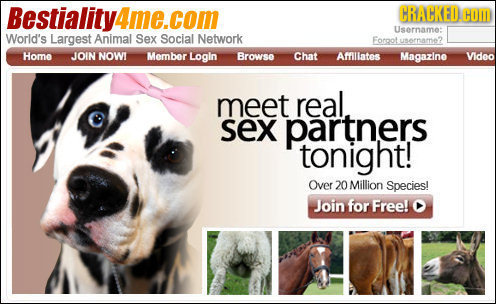 Bestiality4me.com CRACKED. HOm Username: World's Largest Animal Sex Social Network Forgot usorname? Home JOIN NOWI Member Login Browse Chat Afflllates