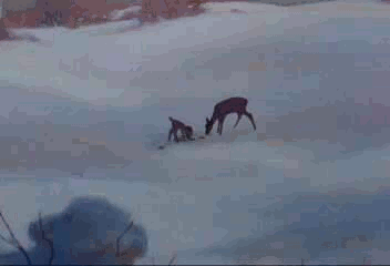 25 R-Rated Scenes Cut from Classic Kids Movies