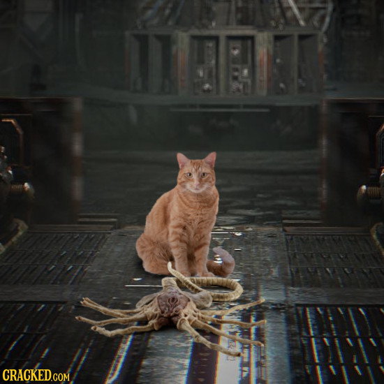 Stuff That Must Have Happened In Movies