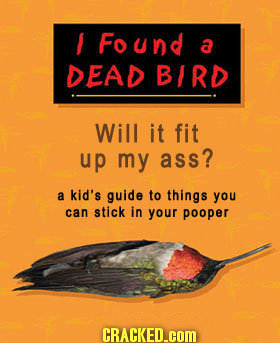 Found a DEAD BIRD Will it fit up my ass? a kid's guide to things you can stick in your pooper CRACKED.cOM