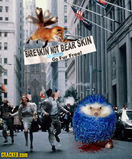 SKIN SKIN NOT BEAR BARE PTAETEE Free! Go Fur CRACKED.cOM 