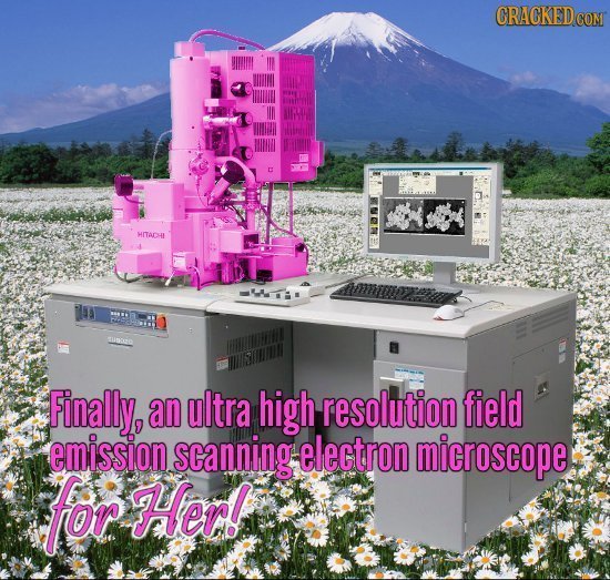 HITAD Finally, an ultra high resolution field emission scanning: electron microscope for Herl