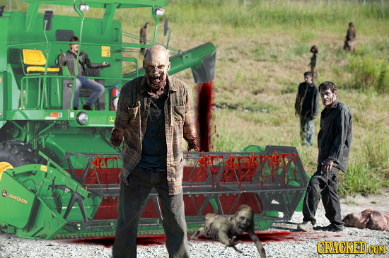 3 PINDOI CRACKEDO CON