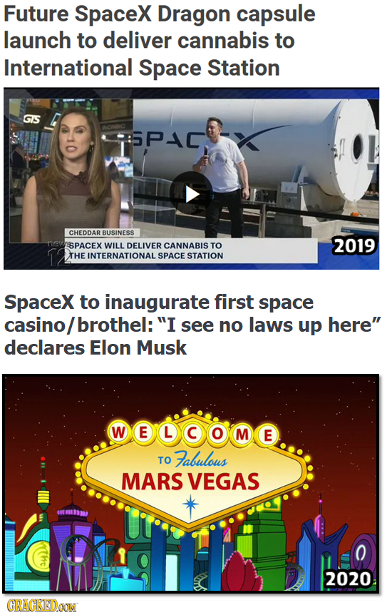 Future Spacex Dragon capsule launch to deliver cannabis to International Space Station G7S SPC CHEDDAR BUSINESS SPACEX 2019 WILL DELIVER CANNABIS TO T