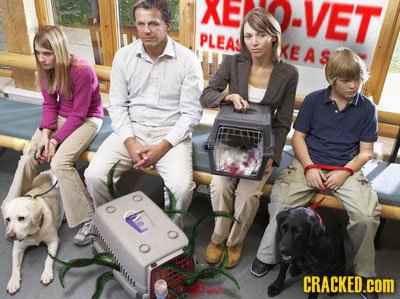 XE VET PLEAS KEAS CRACKED.COM