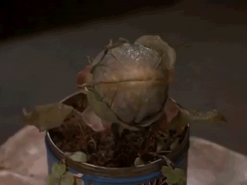 15 Iconic Movie Moments Made Horrifying With Censorship