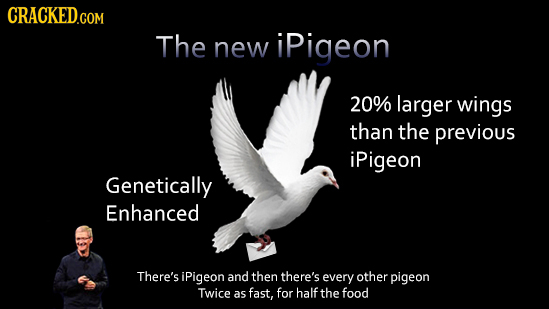 The new ipigeon 20% larger wings than the previous iPigeon Genetically Enhanced There's iPigeon and then there's every other pigeon Twice as fast, for