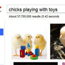 chicks playing with toys w AN9 o0 000 ess 104 scees