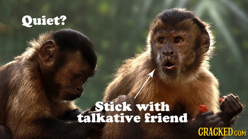 Quiet? Stick with talkative friend CRACKED COM 