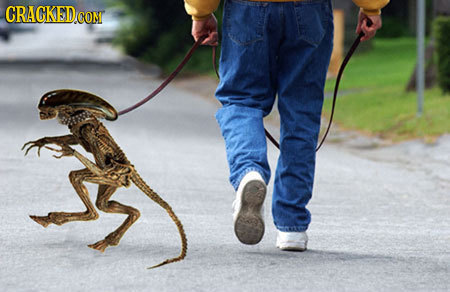 The 25 Secret Perks of Being an Astronaut