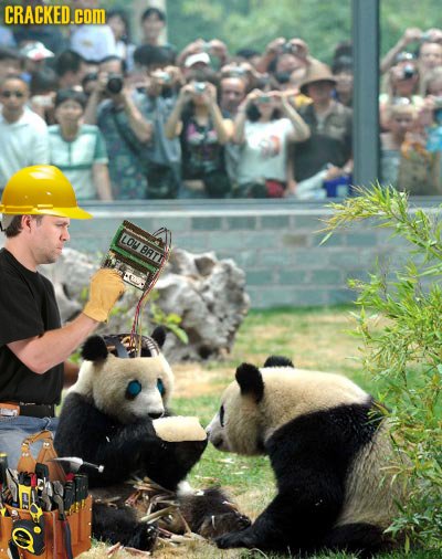 CRACKED.COM LON BATT