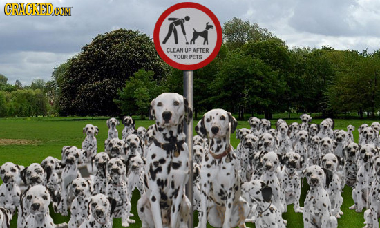 GRAGKEDCON CLEAN UP AFTER YOUR PETS