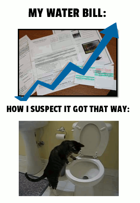 15 Irritating Things, And Why They (Probably) Happen