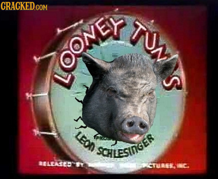 CRACKEDCom TNN TIONS LOOME S LEOD SCHLESINGER CTUEK