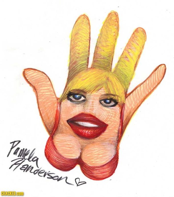 Panlla anderson CRACKED CUR