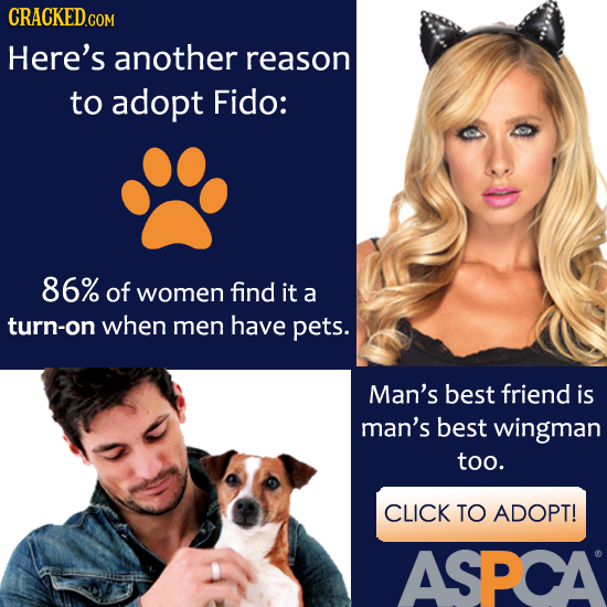 CRACKEDCON Here's another reason to adopt Fido: 86% of women find it a turn-on when men have pets. Man's best friend is man's best wingman too. CLICK