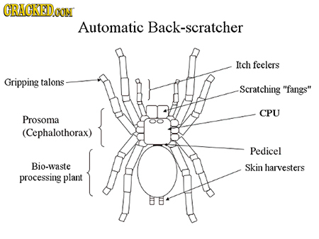 CRACKEDCO CON Automatic Back-scratcher Itch feelers Gripping talons Scratching fangs CPU Prosoma (Cephalothorax) Pedicel Bio-waste Skin harvesters p