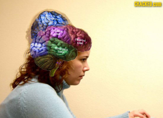 CRACKED.C HOM SOLLAL ELOICKING LOLE IRIESAL LOHE FRONEAE LOBE dch RE TEMPORAL LOBE