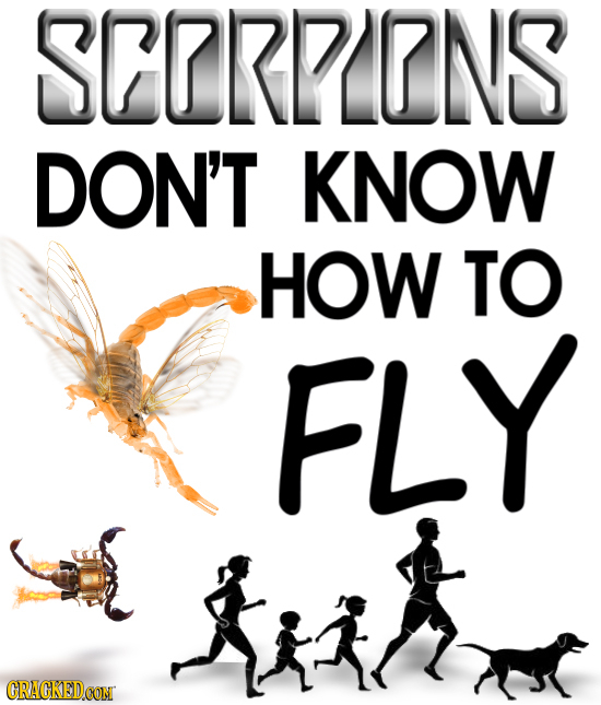 SCRRPRNS DON'T KNOW HOW TO FLY CRACKED COM