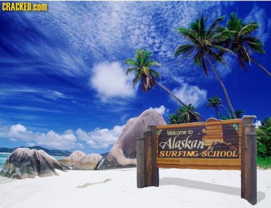 CRACKED.com Welcome to Alaskan SURFING scHooL